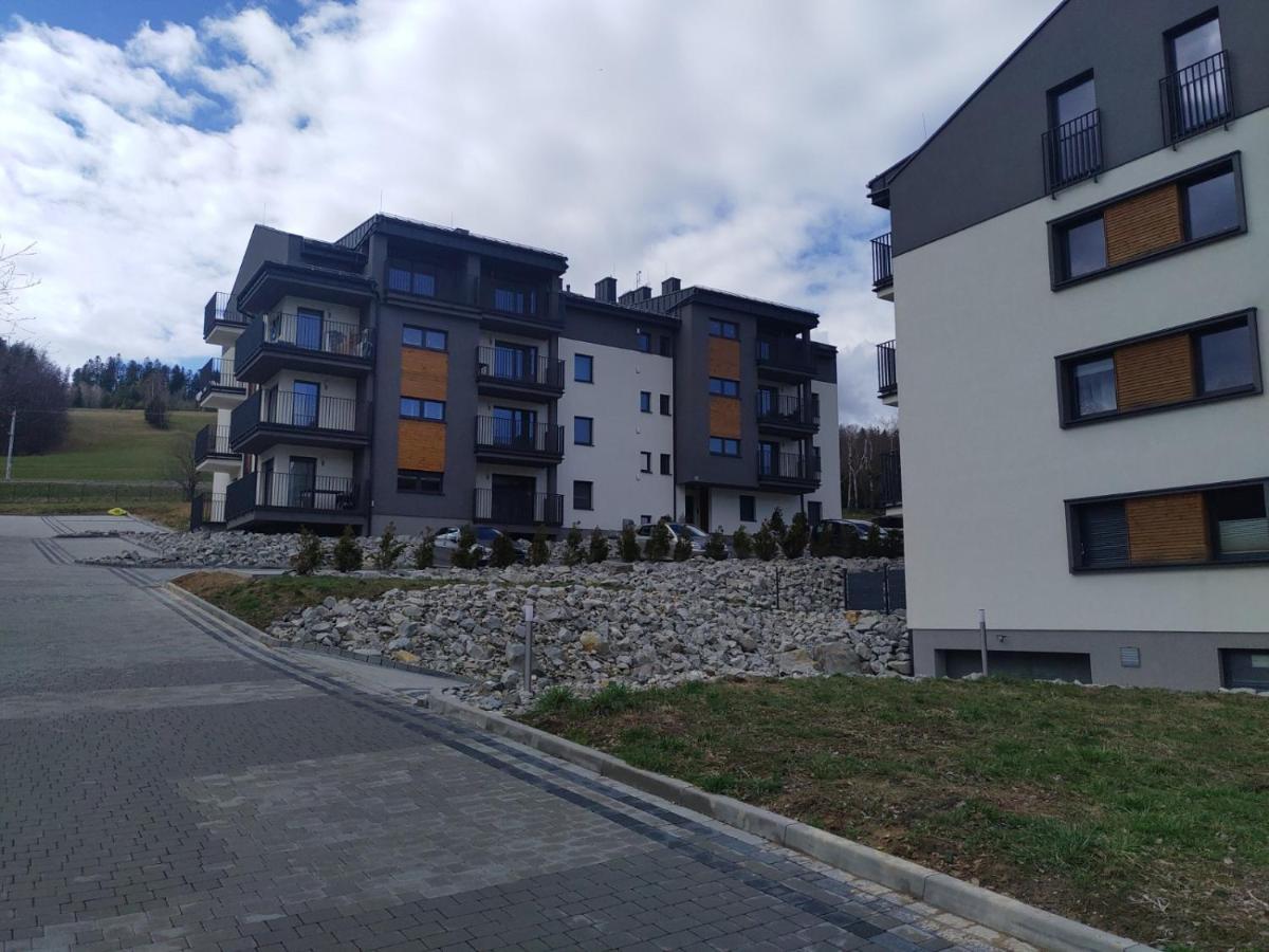 Apartament Zuza W Wisle Wisła Esterno foto